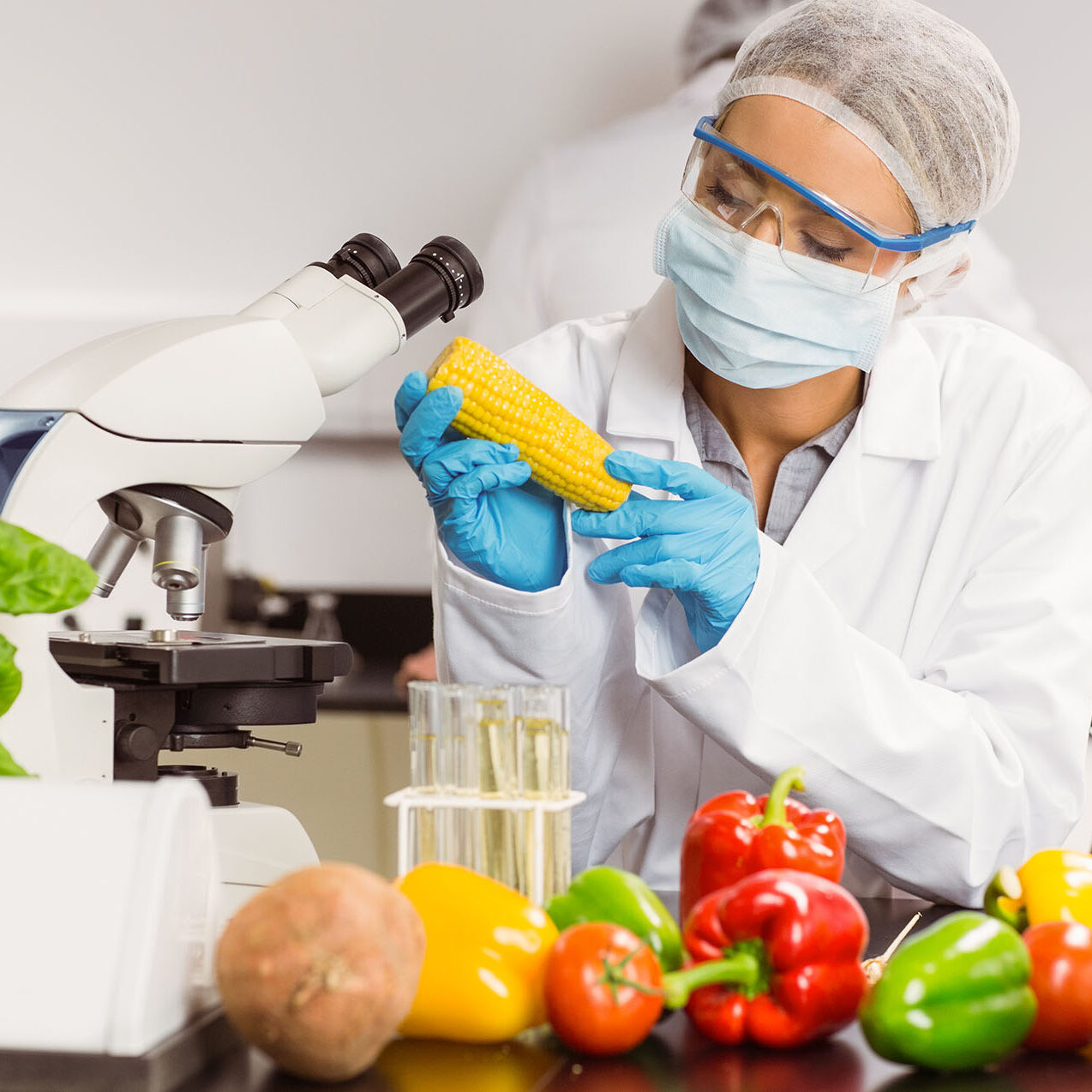 haccp3 haccp3