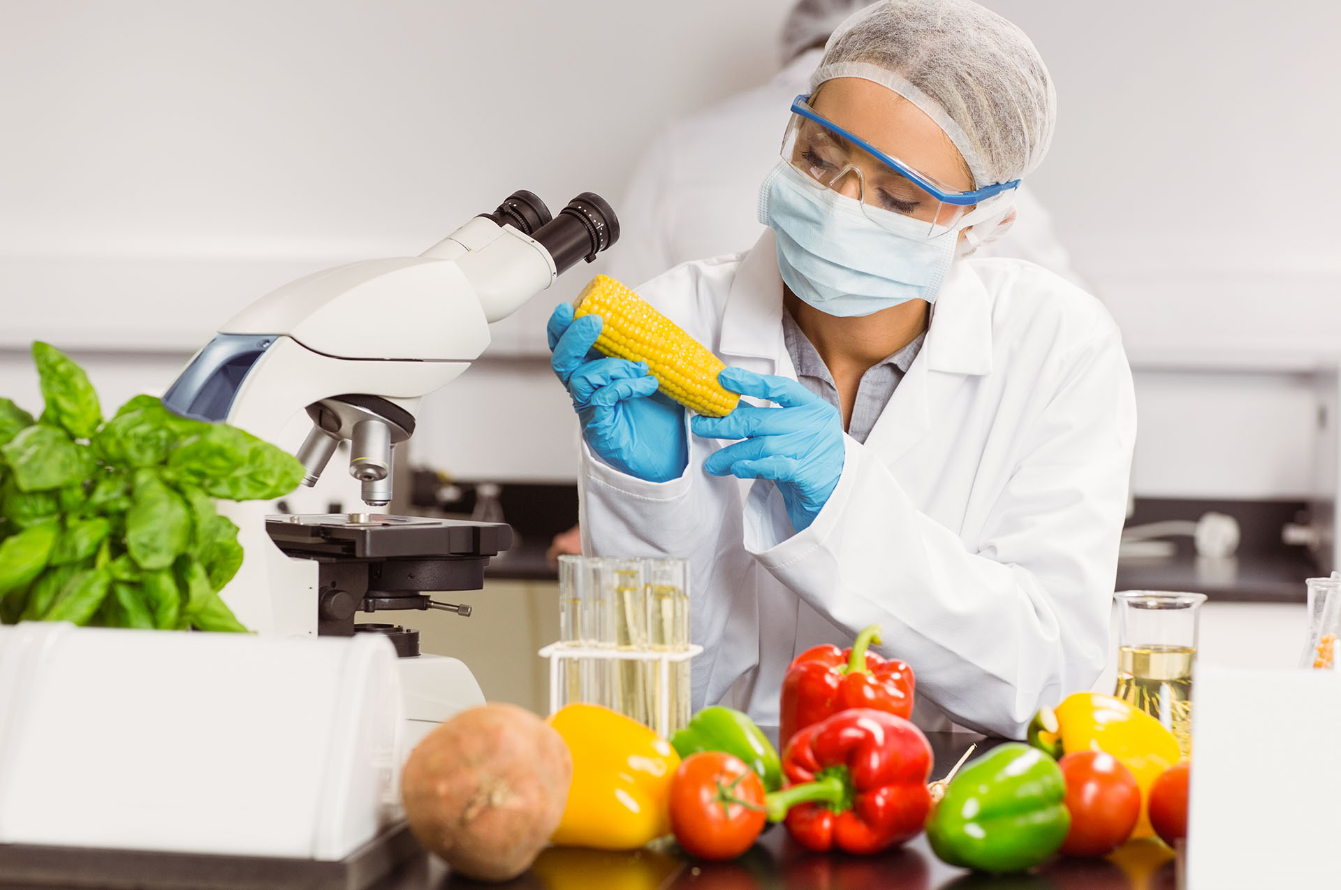HACCP Level 3